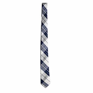 Express Navy and White Checkered Tie